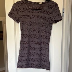 BKE Lace Short Sleeve Top in Dark Brown